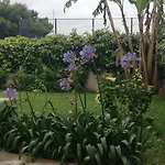 Casa Cunaci Bed and Breakfast
