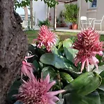 Bed and Breakfast Casa Cunaci