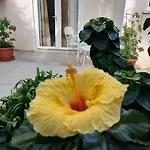 Casa Cunaci Bed & Breakfast 4*