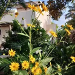 Bed and Breakfast Casa Cunaci Capo Vaticano