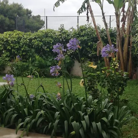 Casa Cunaci Bed & Breakfast