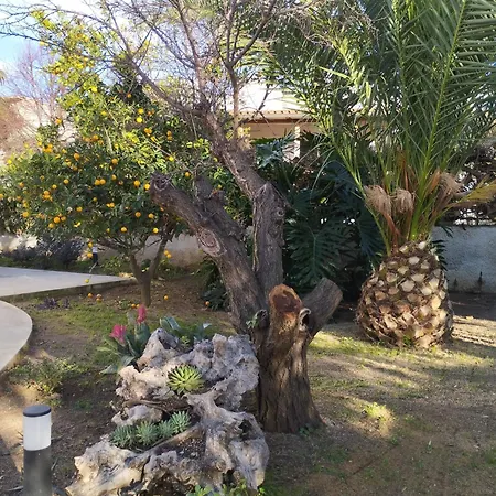 Bed & Breakfast Casa Cunaci