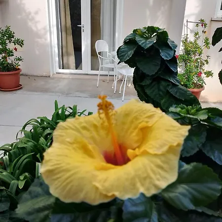 Casa Cunaci Bed & Breakfast 4*
