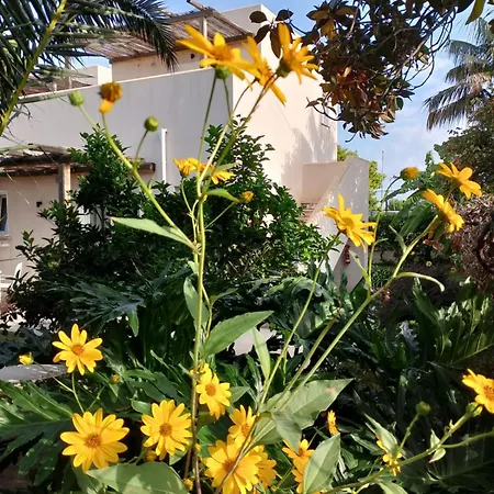 Nocleg ze śniadaniem Casa Cunaci Capo Vaticano