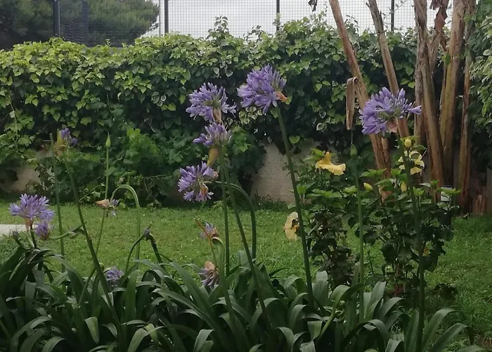 Casa Cunaci Alojamento de Acomodação e Pequeno-almoço