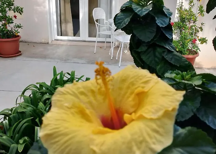 Casa Cunaci Frühstückspension 4*