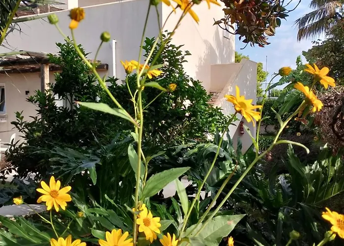 Bed & Breakfast Casa Cunaci Capo Vaticano